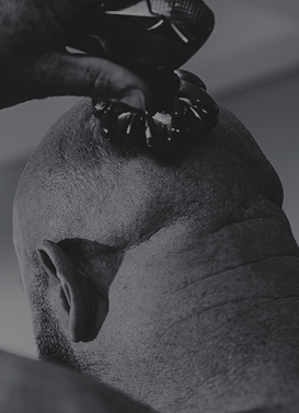 HEAD