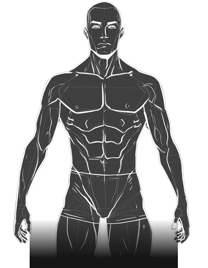 Body Structure